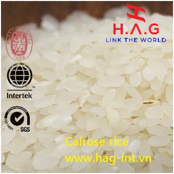 Vietnam Calrose rice
